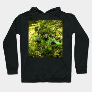 Faerie Queen Hoodie